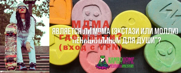 молекула духа Алексеевка