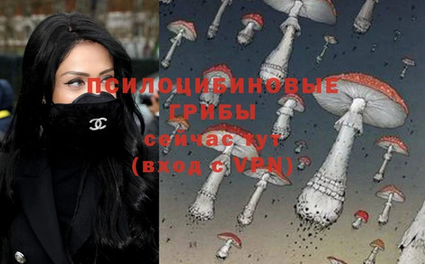 ГАЛЛЮЦИНОГЕННЫЕ ГРИБЫ Армянск