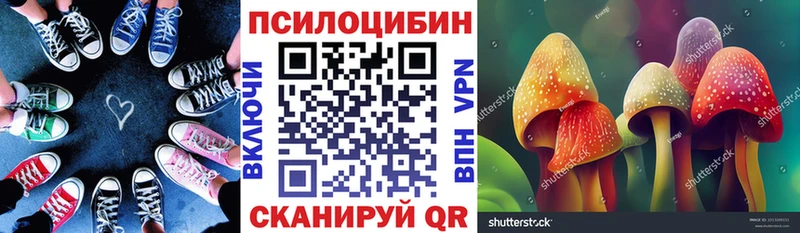 Псилоцибиновые грибы GOLDEN TEACHER  omg онион  Светлоград 