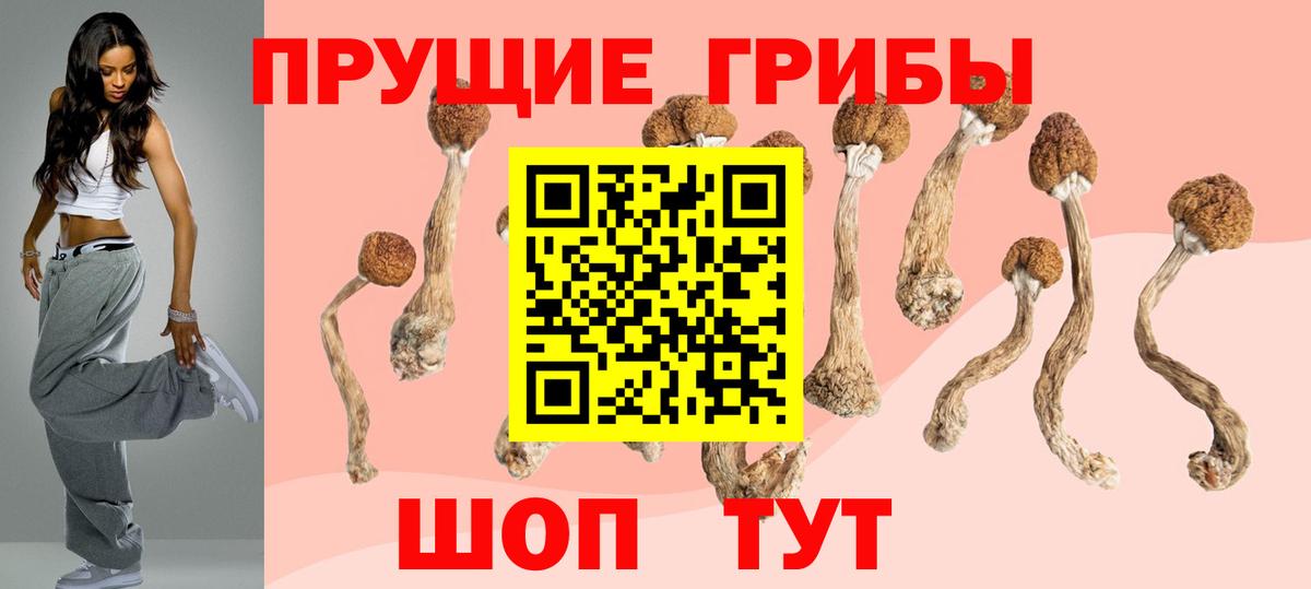 Галлюциногенные грибы GOLDEN TEACHER Светлоград